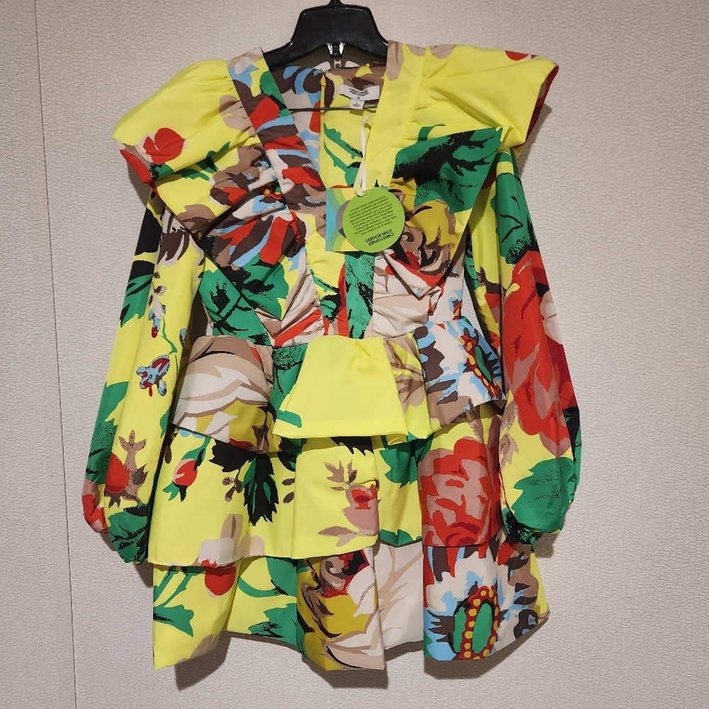 Christopher John Rogers X Target Floral Ruffle Mini Dress Womens Size 2 New